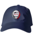 Bard Stealie Dad Hat