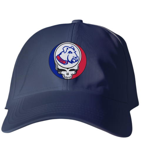 St Francis Stealie Dad Hat