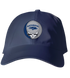 Nevada Stealie Dad Hat