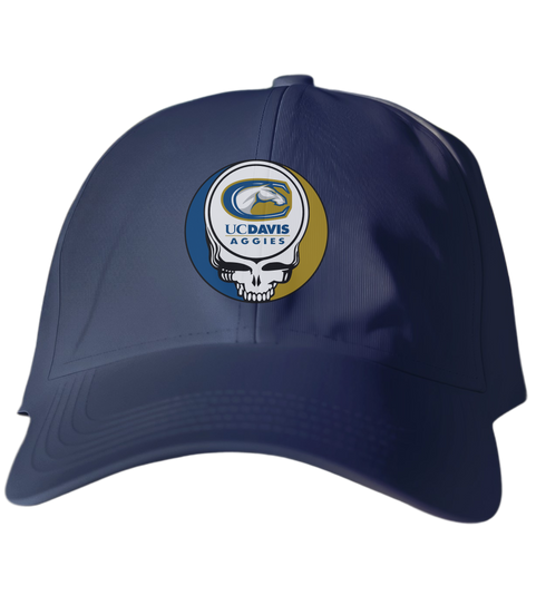 UC Davis Stealie Dad Hat