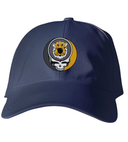 Missouri Stealie Dad Hat