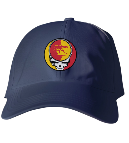 Pittsburgh State Stealie Dad Hat