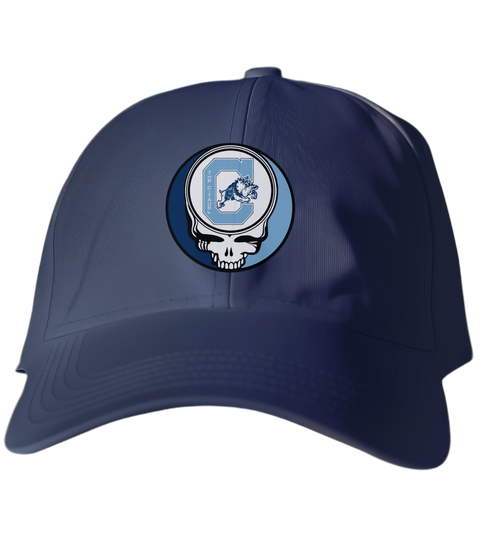 Citadel Stealie Dad Hat
