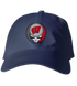 University of Wisconsin Stealie Dad Hat