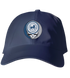 Mount Holyoke Stealie Dad Hat