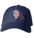 Dayton Stealie Dad Hat