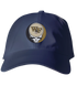 Wake Forest Stealie Dad Hat