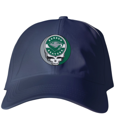 Babson Stealie Dad Hat