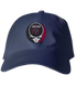 Albany Collegy of Pharmacy Stealie Dad Hat