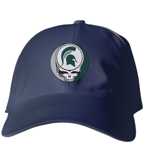 Michigan State Stealie Dad Hat