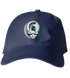 Michigan State Stealie Dad Hat