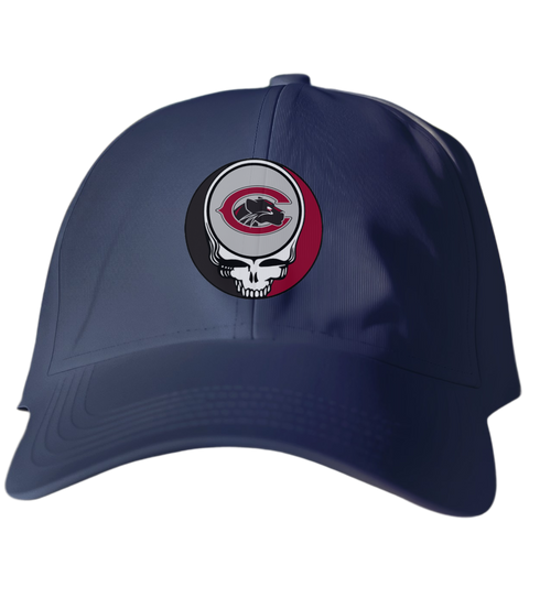 Chapman Stealie Dad Hat