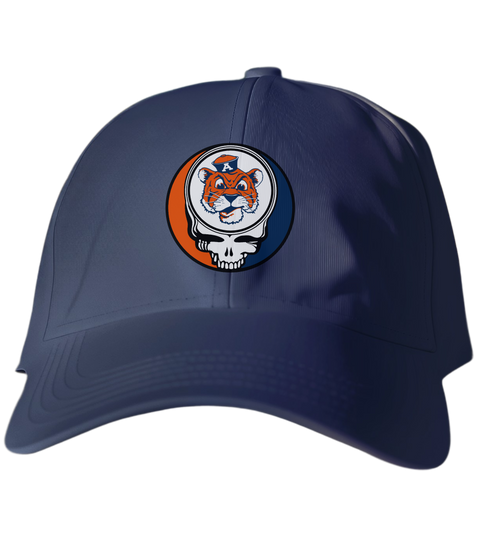 Auburn University Stealie Dad Hat