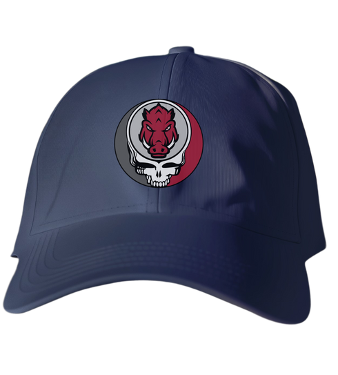 University of Arkansas Stealie Dad Hat