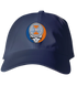 Illinois Stealie Dad Hat