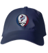 Iowa State Stealie Dad Hat