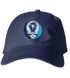 Villanova Stealie Dad Hat