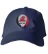 Dickinson Stealie Dad Hat