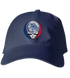 Gonzaga Stealie Dad Hat