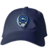 Roger Williams Stealie Dad Hat