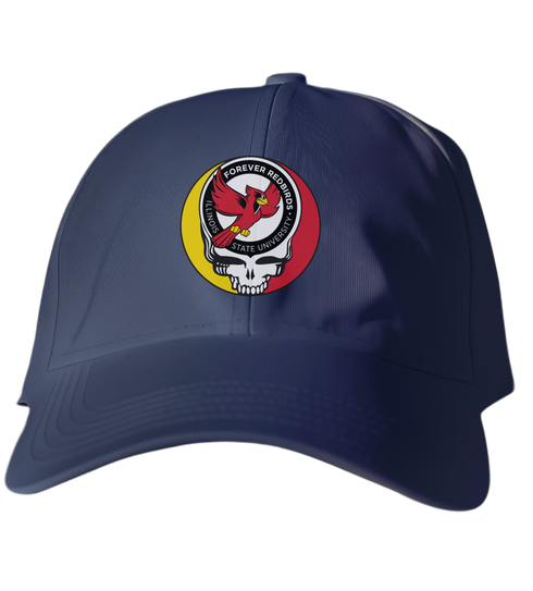Illinois State Stealie Dad Hat