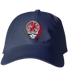 Reed College Stealie Dad Hat