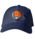 Illinois Stealie Dad Hat