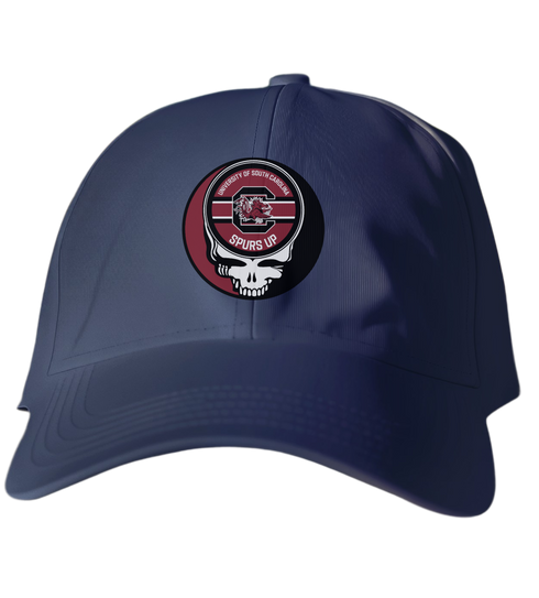 South Carolina Stealie Dad Hat