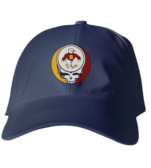 Salisbury Stealie Dad Hat