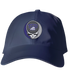 TCU Stealie Dad Hat