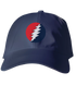 Classic Stealie Dad Hat