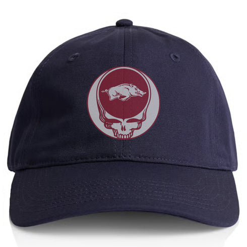 University of Arkansas Stealie Dad Hat