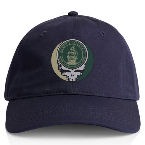 Babson College Stealie Dad Hat