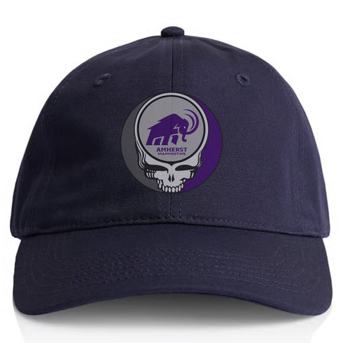 Amherst College Stealie Dad Hat