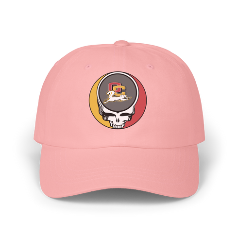 Oberlin Stealie Dad Hat