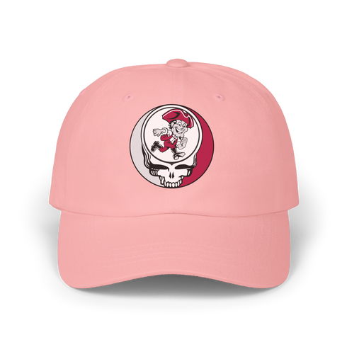 Umass Amherst Stealie Dad Hat