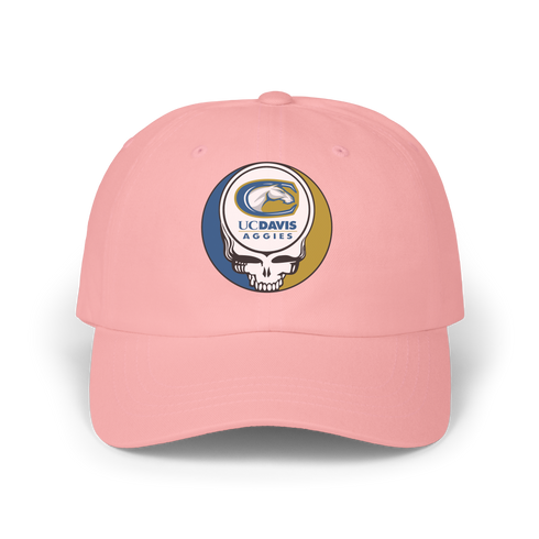 UC Davis Stealie Dad Hat