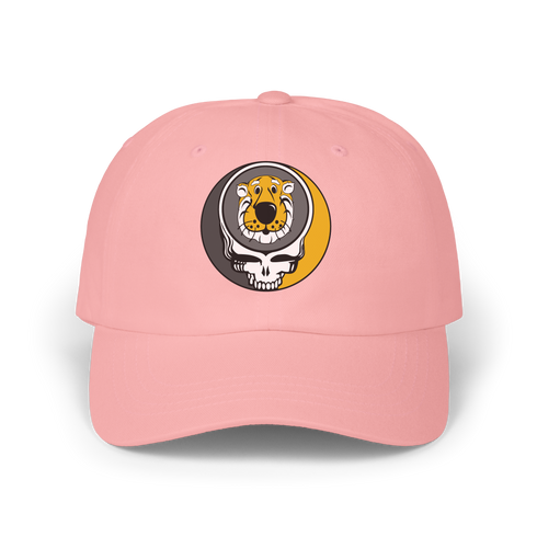Missouri Stealie Dad Hat