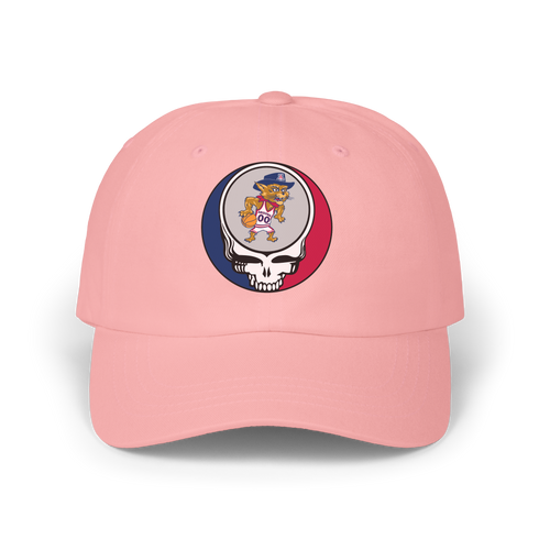 University of Arizona Stealie Dad Hat