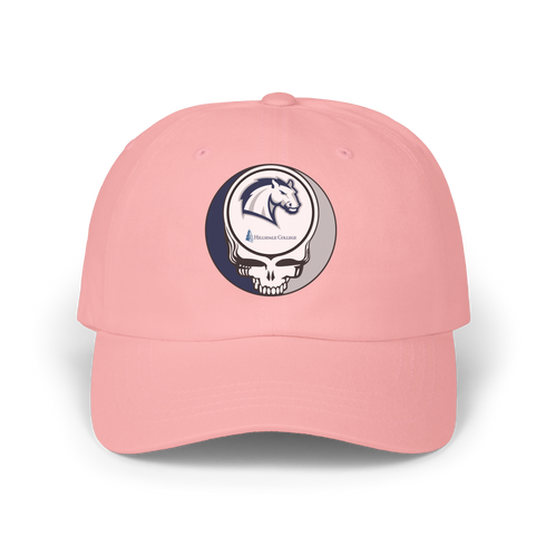 Hillsdale College Stealie Dad Hat