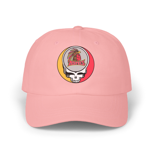 San Diego State University Stealie Dad Hat