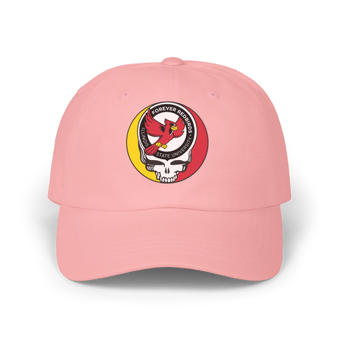 Illinois State Stealie Dad Hat
