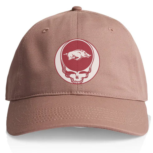 University of Arkansas Stealie Dad Hat