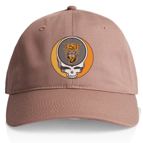 Idaho State University Stealie Dad Hat