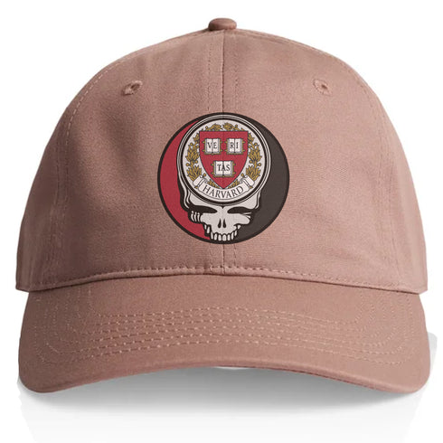 Harvard University Stealie Dad Hat