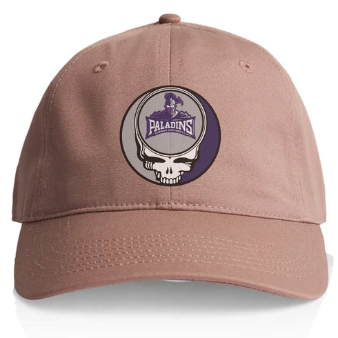 Furman Stealie Dad Hat