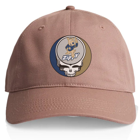 University of Akron Stealie Dad Hat