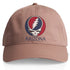 University of Arizona Stealie Dad Hat