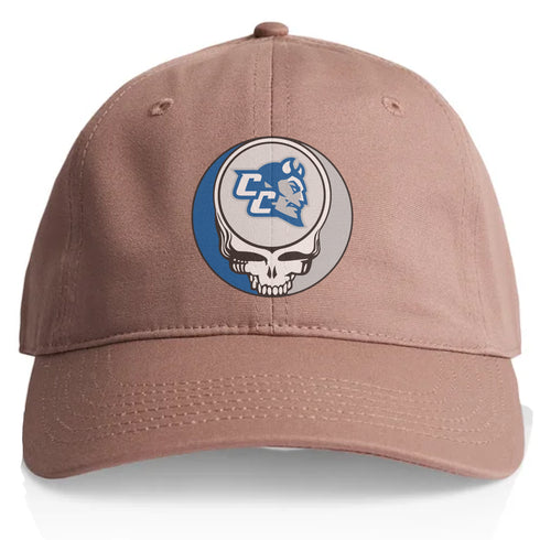 Central Connecticut University Stealie Dad Hat