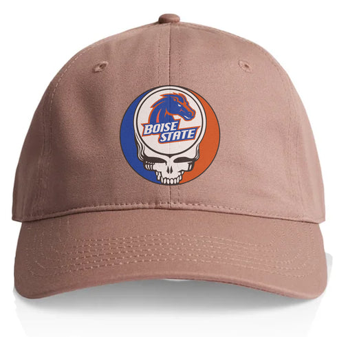 Boise State University Stealie Dad Hat